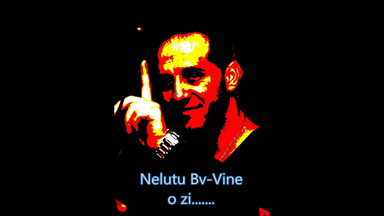 nelutu de la brasov vine o zi