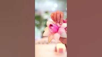 Thumbnail of Pink water Lily 💗