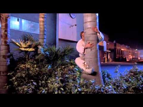 Beverly Hills Ninja Palm tree scene