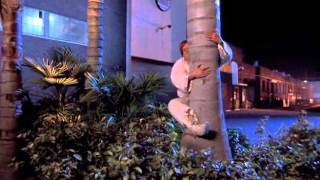 Beverly Hills Ninja Palm tree scene