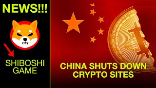 Big News Today!!! ‘Black Friday Crypto Deal’, SHIBOSHI,  Vitalik Buterin, Axie Infinity, China...