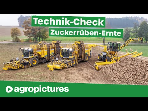 Giganten der Landtechnik bei der Zuckerrüben Ernte | ROPA Tiger, Panther und Maus im Technik Check