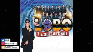 Mix El Lobo &amp; La Sociedad Privada Exitos Vol.1 2021 - DjVicTor.Vasquez (Lima-Perú)
