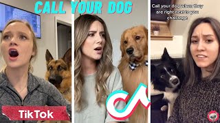Call Your Dog's Name When They're Right Next To You 🐶 TikTok Compilation