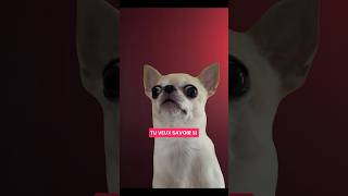 Comment savoir si ton PROCESSEUR LIMITE ta carte graphique ? #bottleneck