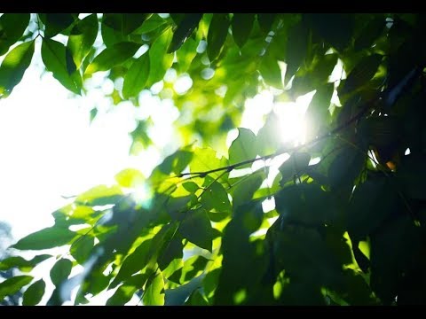 费玉清双亲离世，写信退出娱乐圈：人生三个怕，你最怕哪个？