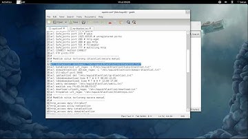 Squid_Cache squid.conf Demo By: www.altertek.net