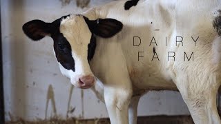 Famous An Inside Look at the Life of a Wisconsin Farmer Profile