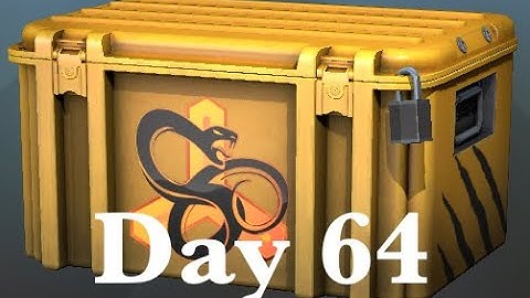 Opening a CS:GO snakebite case until I get a gloves #64