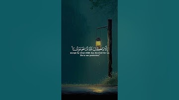 تلاوة خاشعة من القرآن الكريم بصوت عذب يريح القلب