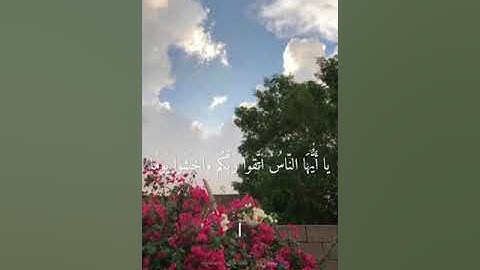 تلاوة رائعة من اوخر سورة لقمان القارئ صادق سعيد