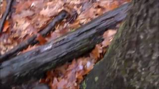 bigfoot stick structure's 2