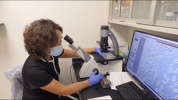 Different body fat plays a role in type 2 diabetes