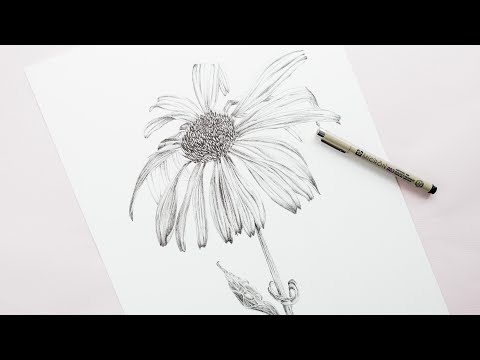 Botanisch tekenen met een fineliner ✍🏻🌸