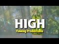 Flowing Productions High Official Music Video