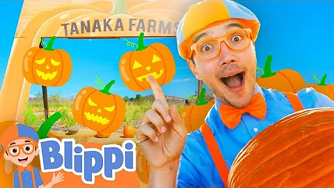 🎃 Blippi’s Silly Pumpkin Patch Challenge! 🌽 Can He Find the Jack O’ Lantern?