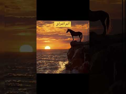 أه هليك أيا اخي تركتني 