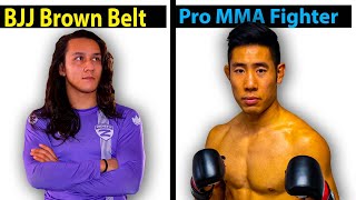 BJJ Brown Belt VS Pro MMA Fighter