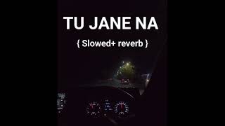 Tu Jaane Na [ LoFi Remix ] Atif Aslam | DUO SEM