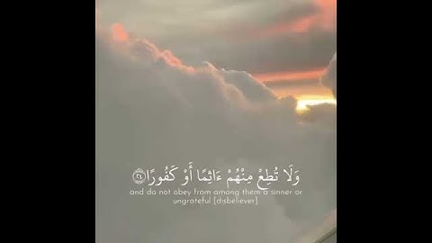 تلاوة عذبة للشيخ وديع اليمنى |حالات واتس