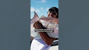 Никогда не ешь ЭТИ морепродукты! #питание #морепродукты #здоровье