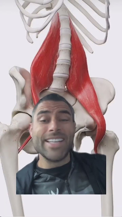 Pso-Rite PSOas Massage | What is it? Where is it? | How-To Massage the Psoas #selfcare