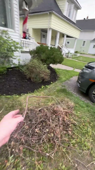 Part 8: The mulch is done!  In one garden :)  j/k goodnight youtube!