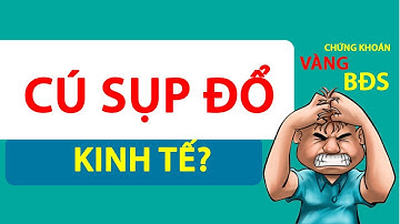 THỜI BƠM TIỀN QUÁ NHIỀU - KINH TẾ CÓ SỤP ĐỔ? Vàng - Bất Động Sản - Chứng Khoán Sẽ Về Đâu?