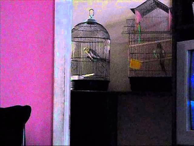 thumbnail img16x9