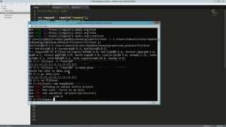 Celebrity Write a Node Command Line Application Wealth