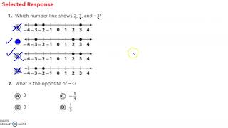 Celebrity Module 1 - Interactive Study Guide Net Worth
