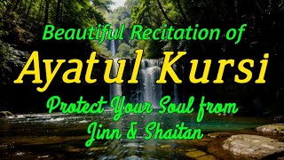 Best Quran Recitation to Heal Your Mind & Soul | 50 Times of Ayatul Kursi (the Throne Verse)