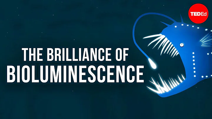 The brilliance of bioluminescence - Leslie Kenna - 天天要闻