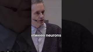 Potential of the Human Brain @JordanBPeterson @childrenofthesun1 #billythorpe