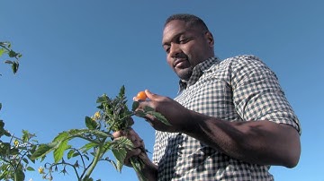 The Scion iQ in Make Every Second Count: Healthy Mission - A Film by Doug Pray