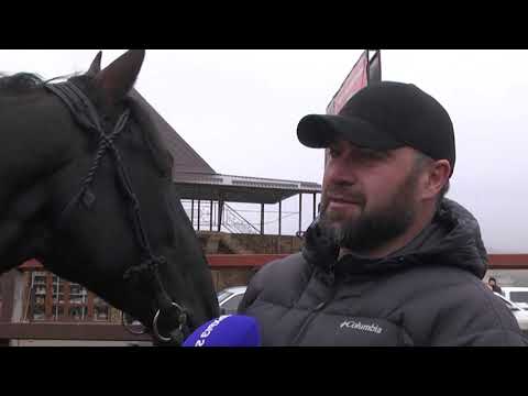 Video: Жеребцов Владимир: актердун өмүр баяны жана жеке жашоосу