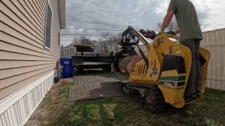 Solo tree removal with rigging, full clean up.