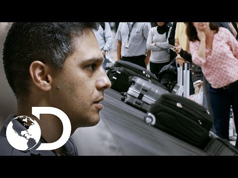 As malas estão desaparecendo! | Aeroporto: Área Restrita | Discovery Brasil