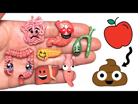 DIY EMOJI DIGESTIVE SYSTEM! Polymer Clay Tutorial