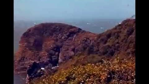 Prelinger Archive Film