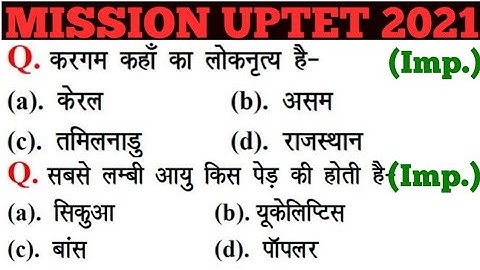 UPTET 2021 || Junior Super TET EVS Most Important Questions || Super TET