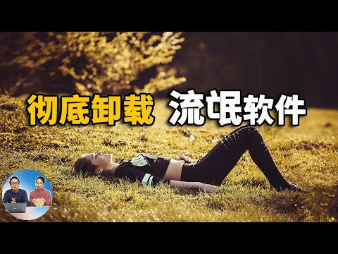 流氓软件该如何彻底卸载？方法你都用对了吗？ | 零度解说