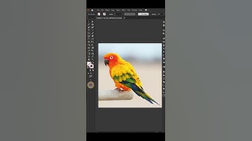 Low Poly Art Bird in Illustrator | #shorts #graphicdesign #lowpolyart