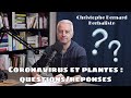 Covid-19 et plantes – QR1 – Armoise annuelle, Quinquina et Sureau