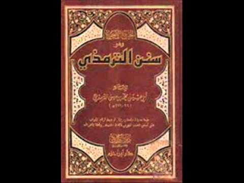 الكتب المسموعة سنن الترمذي 8 1
