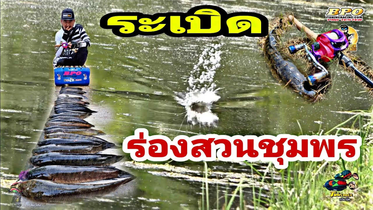 ทวิน ระเบิดหมาย ร่องสวน ชุมพร