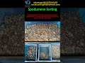 Spodumene Sorting #lithium #spodumene #sorting #sortingmachine #colorsorter #ccd #miningequipment