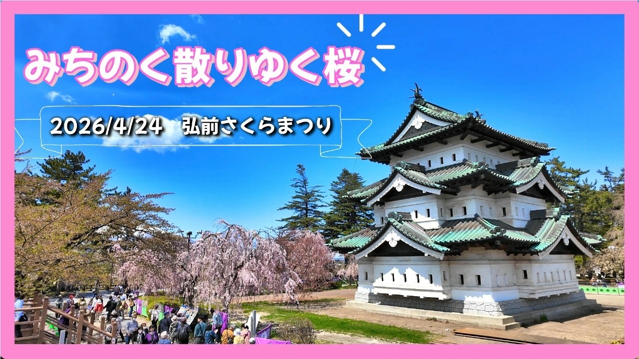 2026みちのく散りゆく桜【弘前さくらまつり】（青森県弘前市）[4K