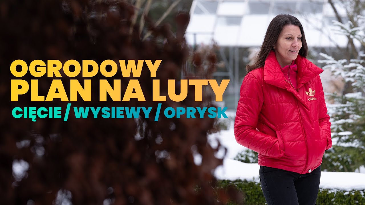 Ogród w Lutym - plan cięcia, wysiewów i oprysków | Co robić w Lutym w ogrodzie?