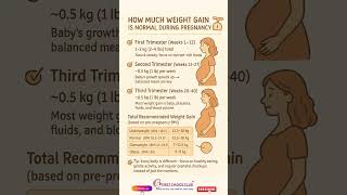 How Much Weight Gain is Normal During Pregnancy? ⚖️